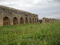 Carthage - Oued Milliane Nikon 086